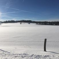 Neige.jpg