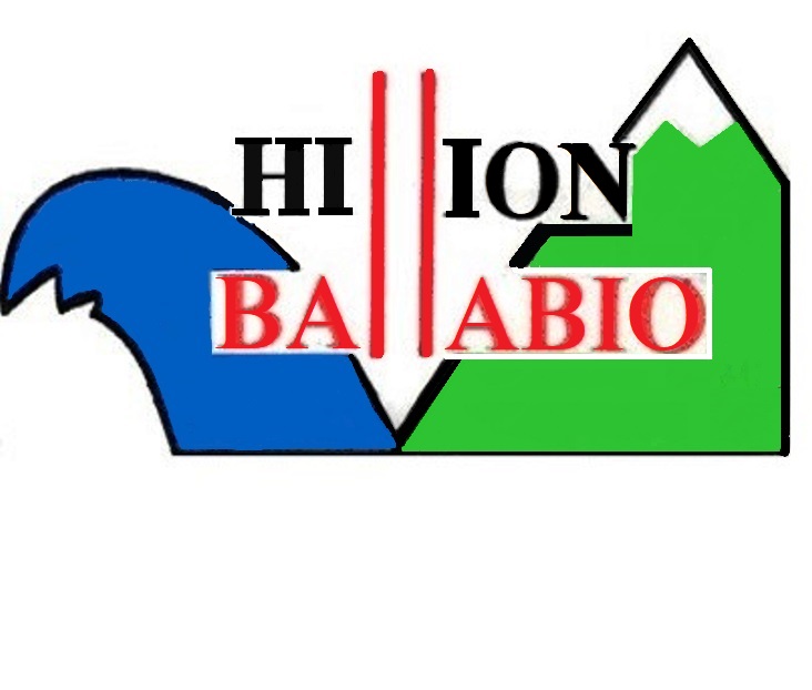 logo comité de jumelage Hillion.jpg