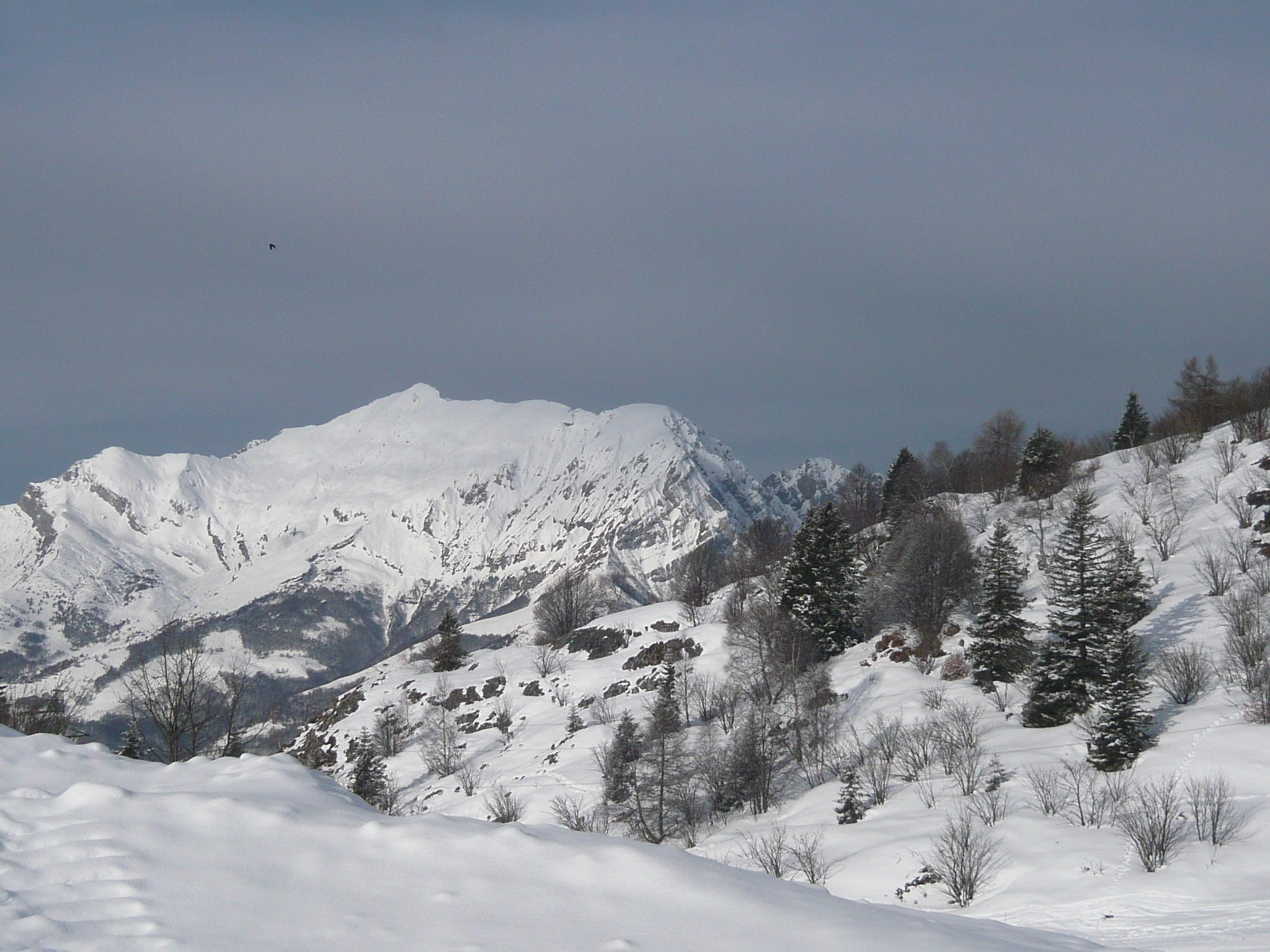 Ski à Ballabio.jpg