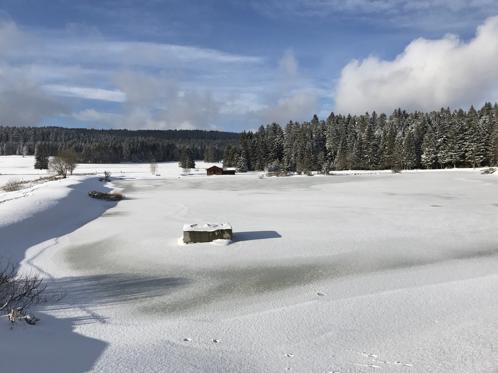 l'étang du couvent sous la neige
