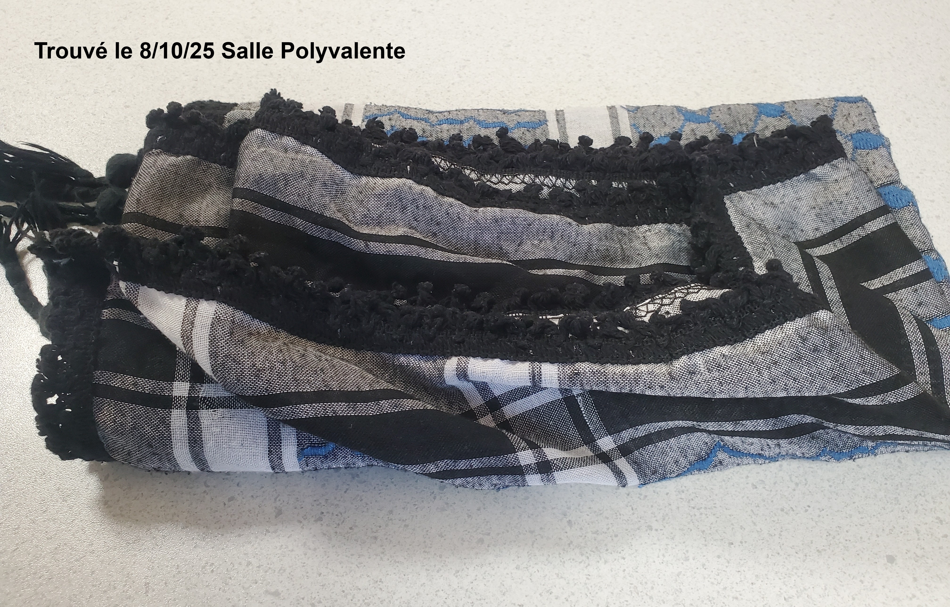 FOULARD  OCTOBRE 25.jpg