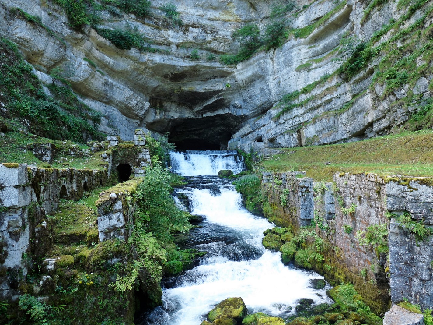 Loue saugeais OT.jpg