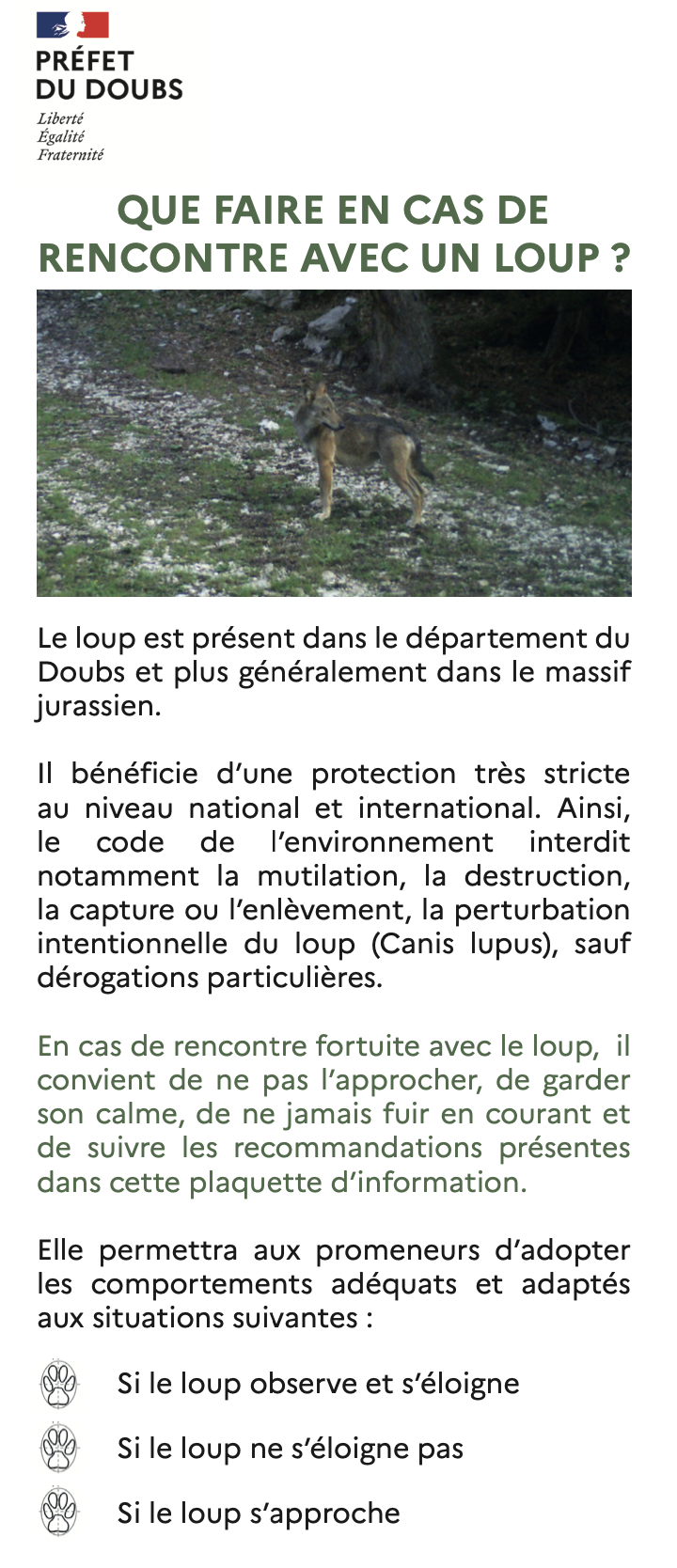 loup3.png
