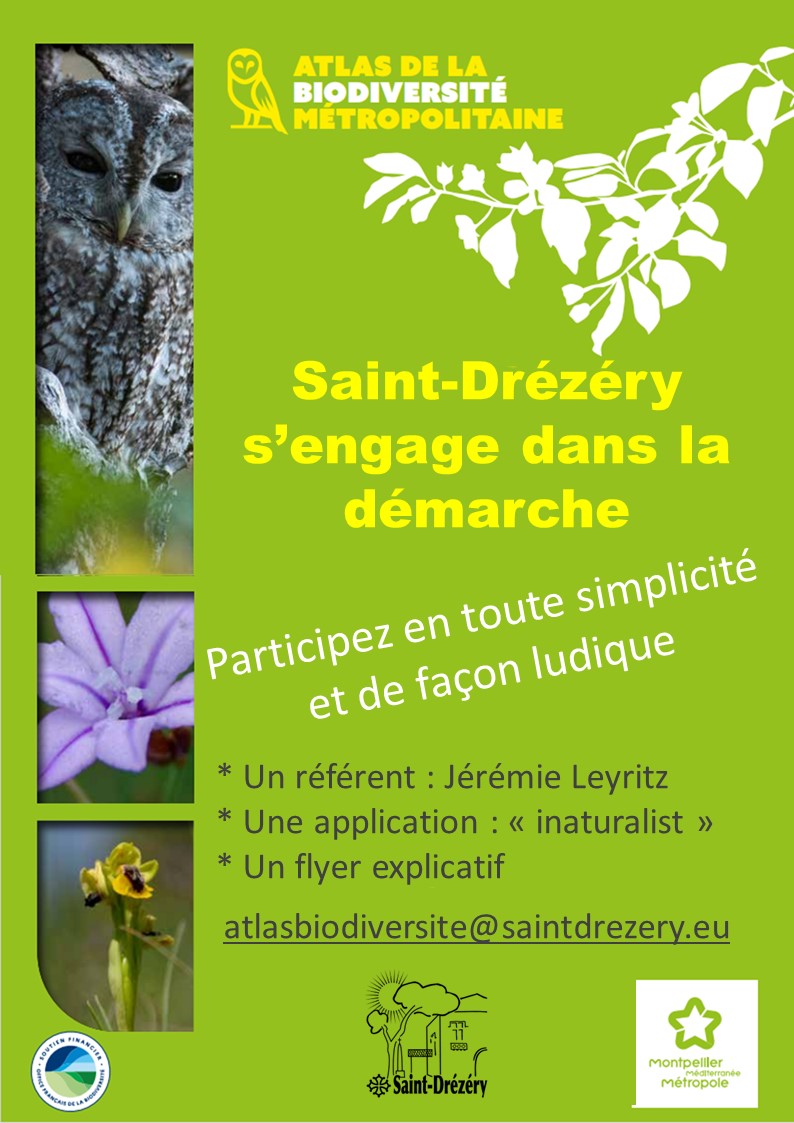 Flyer ABS 1 mairie.jpg