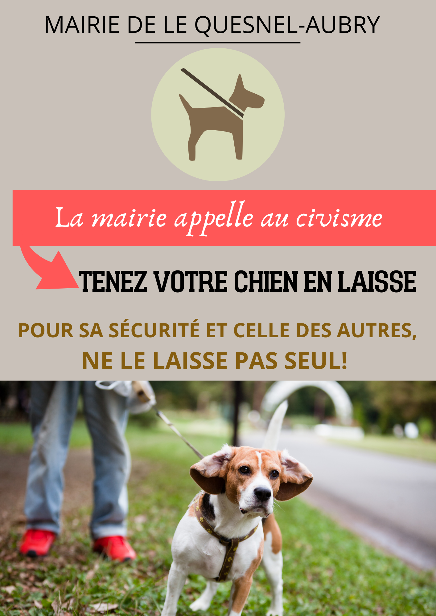 chiens en laisse.png