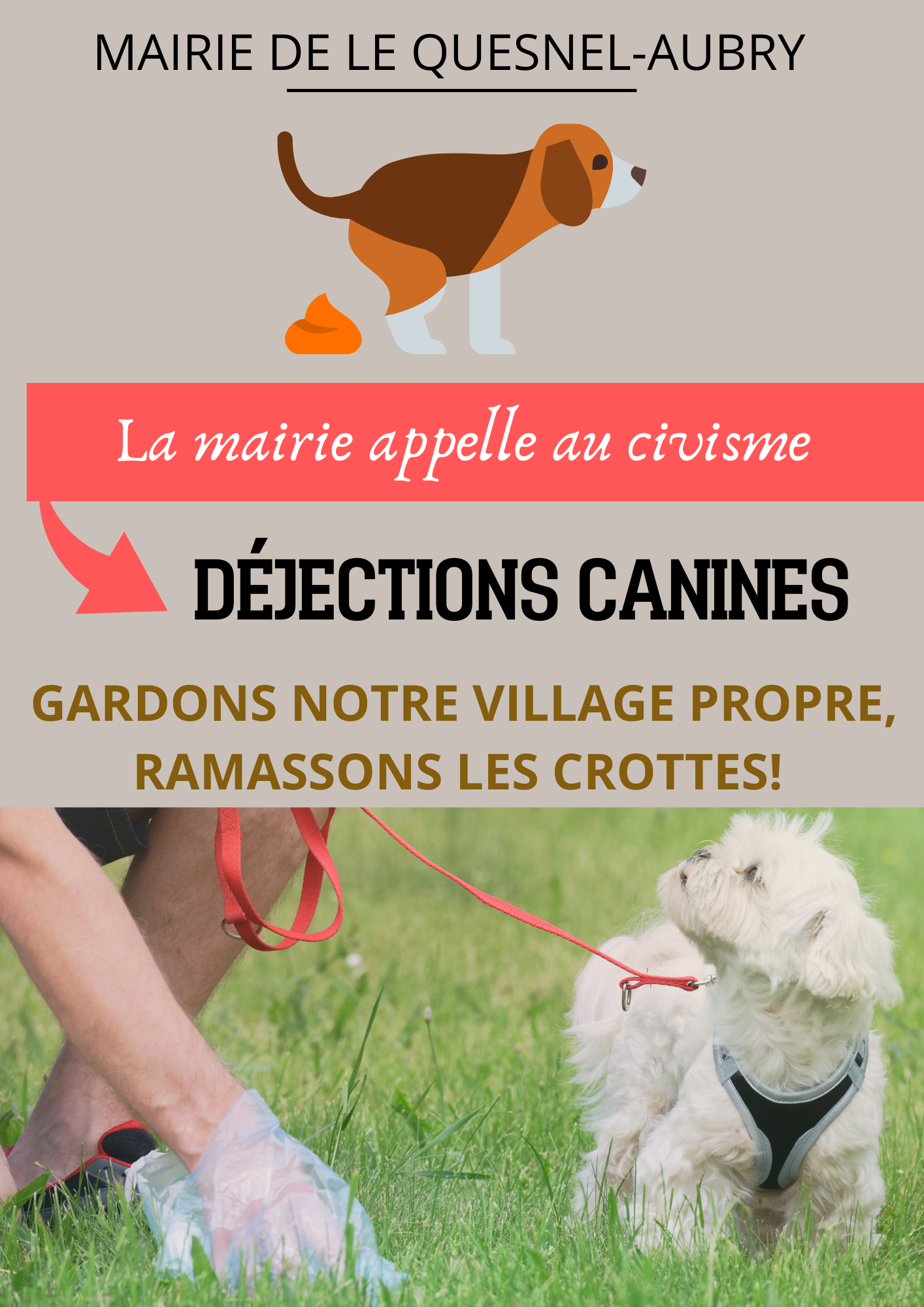 dejections canines affiche.png