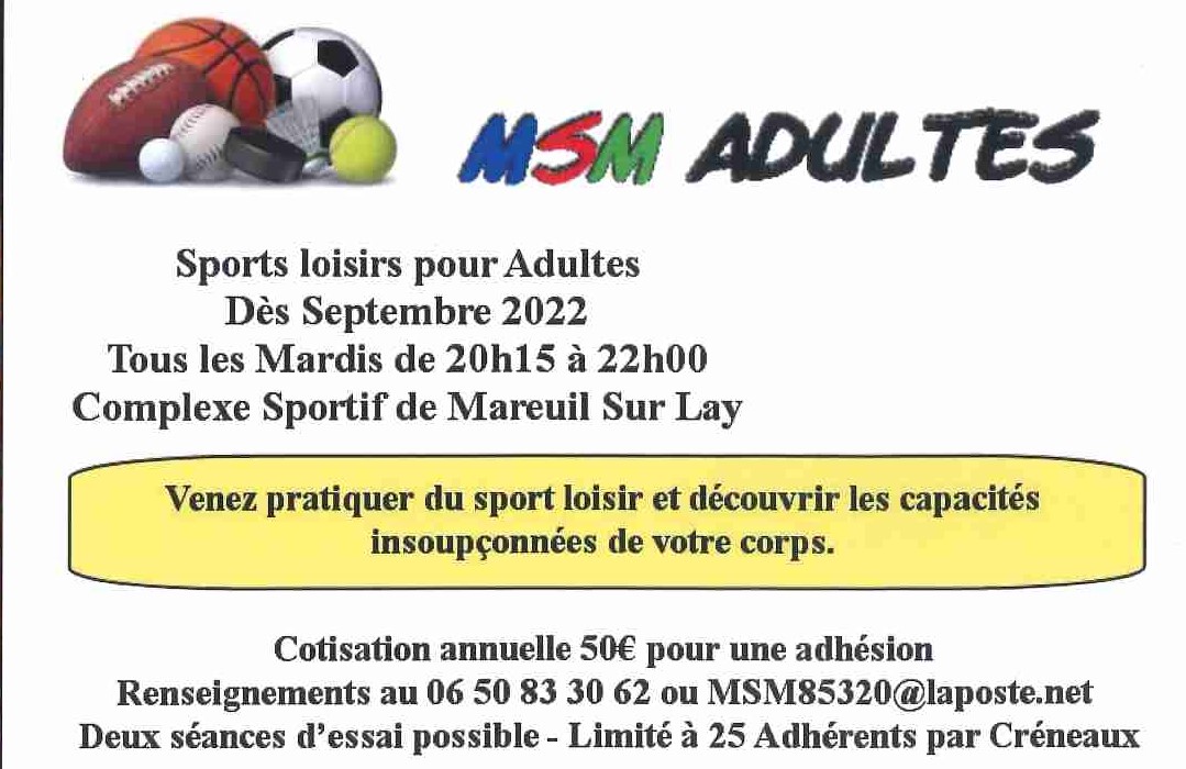 MSM Adultes.jpg
