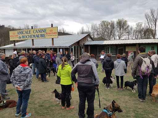 amicale canine.jpg