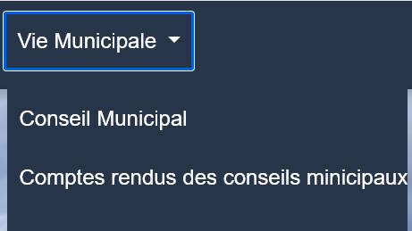 Menu Vie municipal.jpg