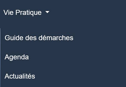Menu Vie pratique.jpg