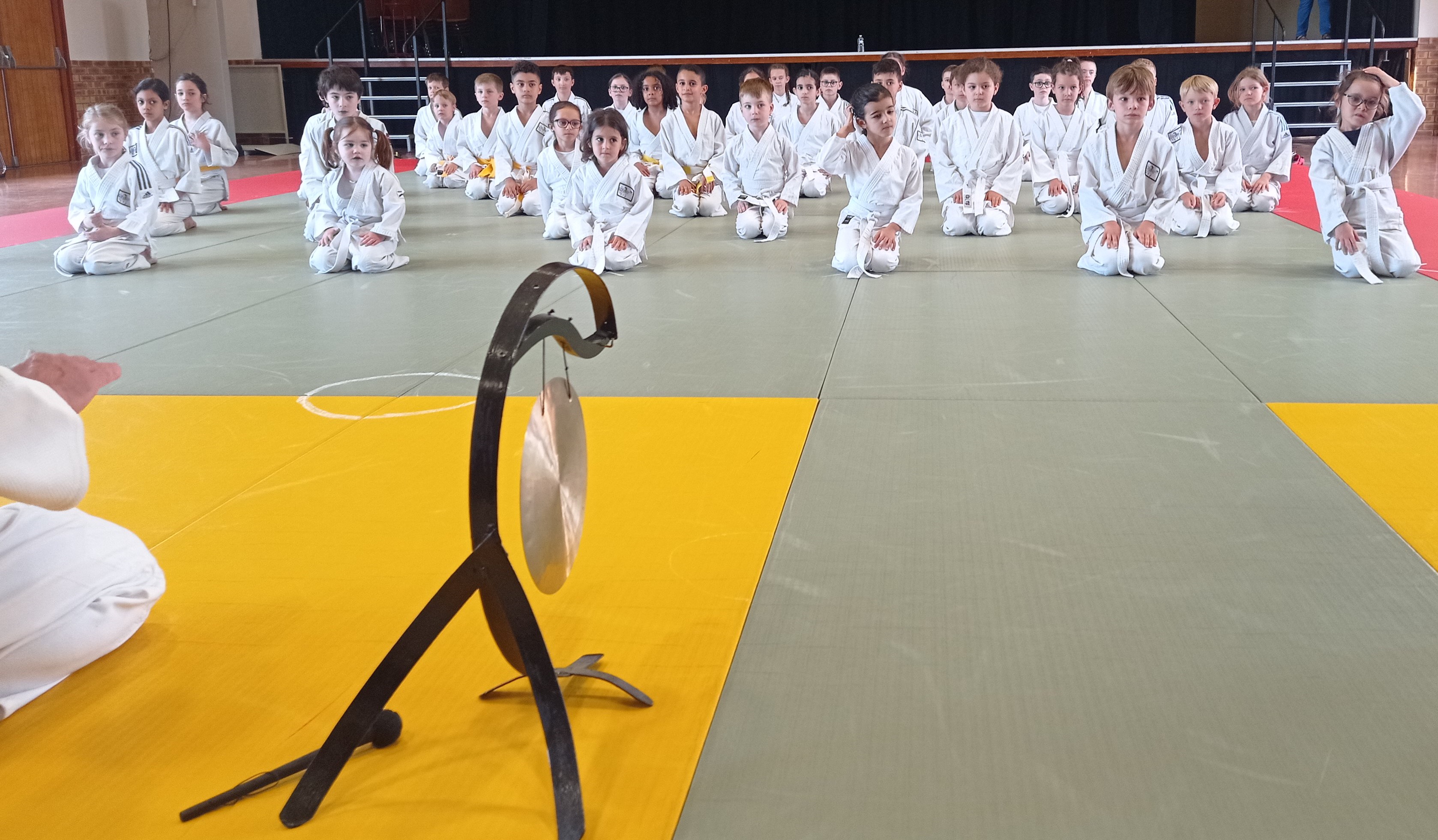 Judo ceintures 2024 _5_.jpg