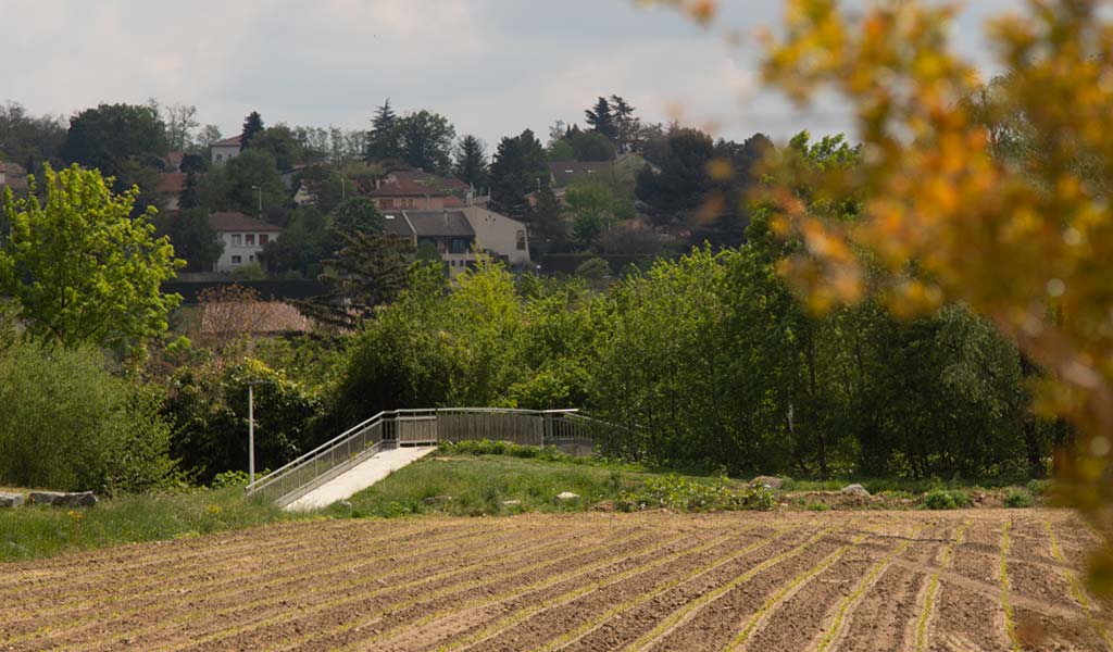 Agriculture.jpg