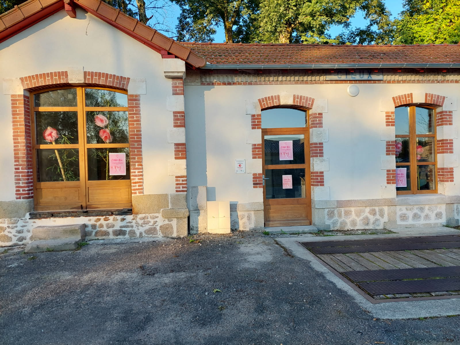 octobre rose gare.jpg