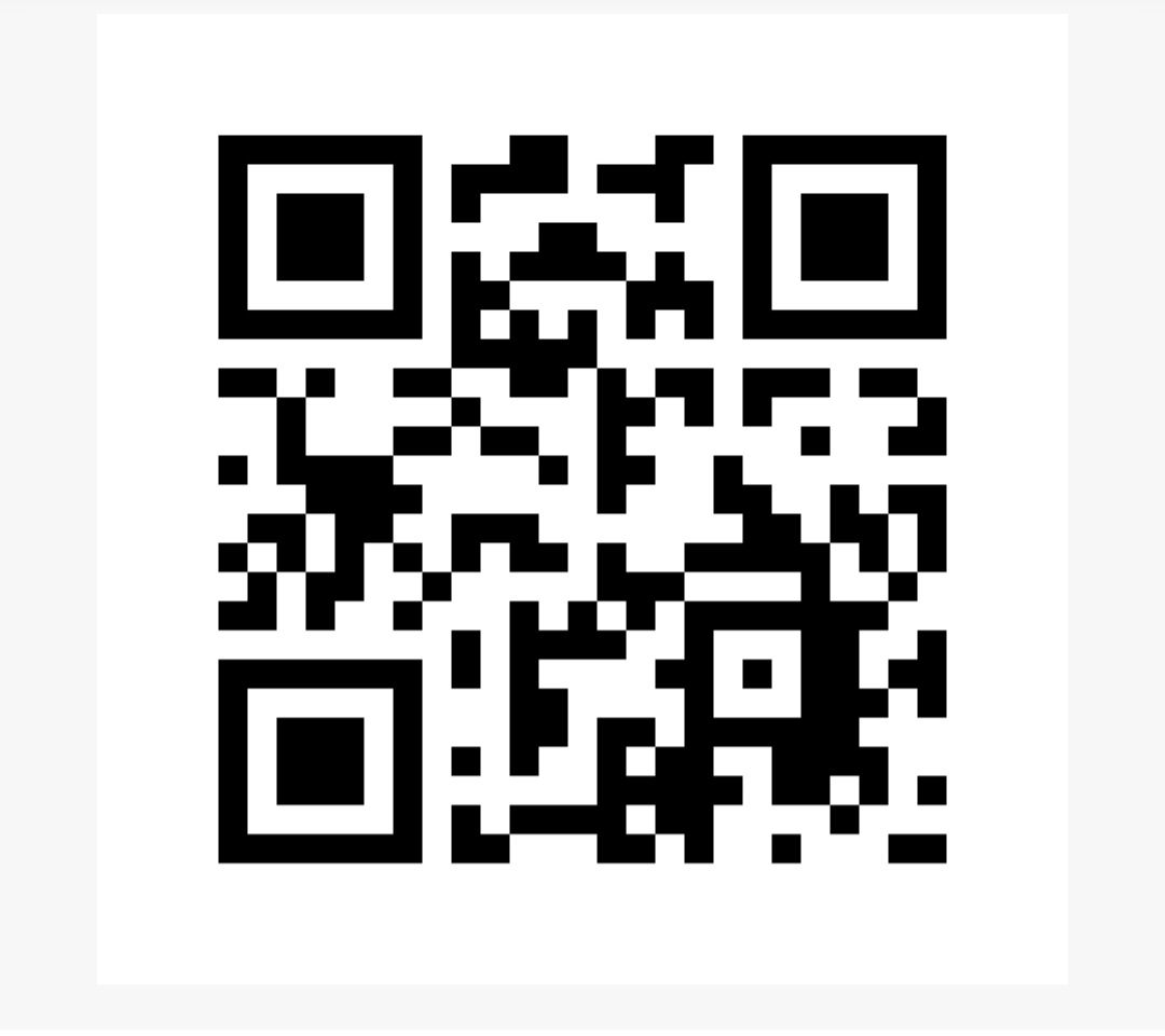 flash code borne.jpg