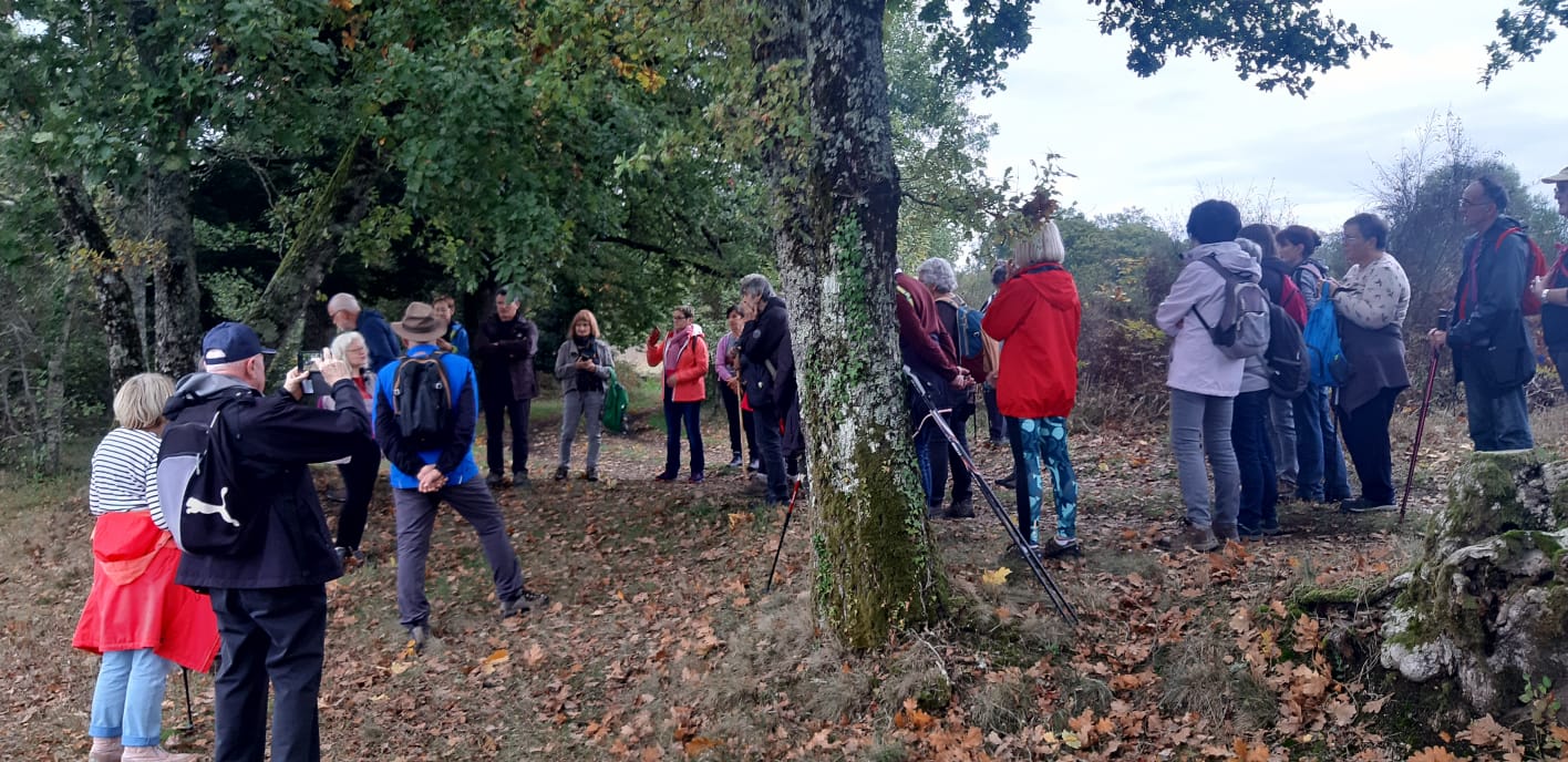 randosemi noct 3.jpg