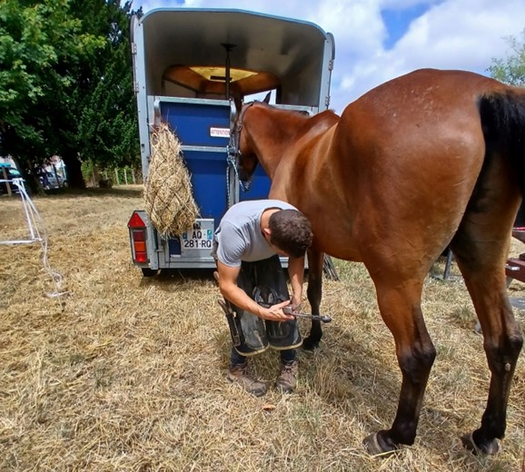marechal ferrant.jpg