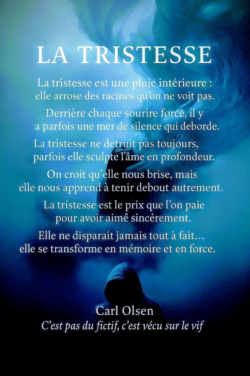 La tristesse Olsen.jpg