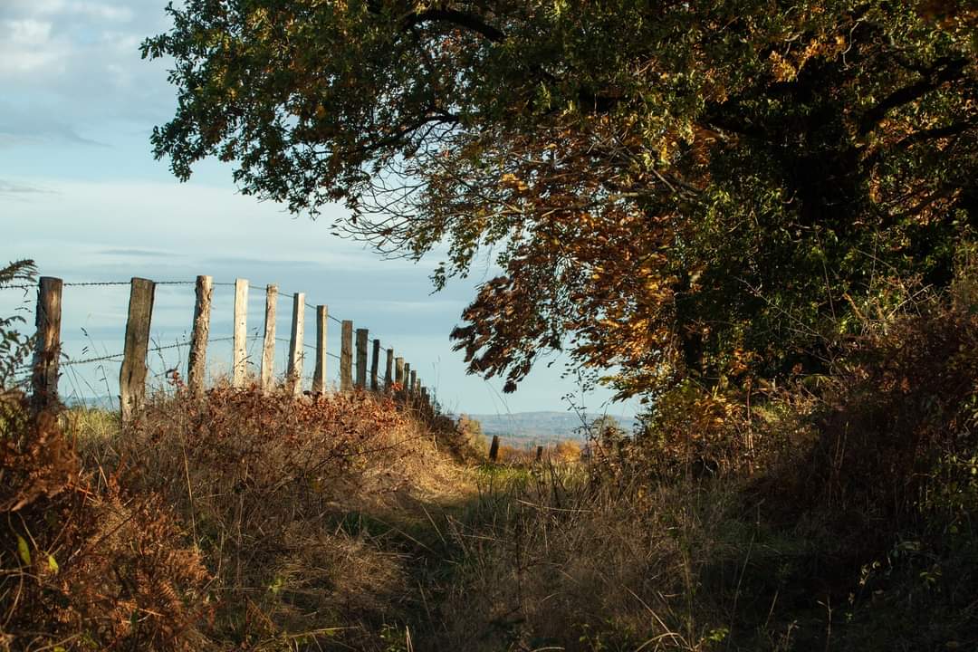 Vue chemin