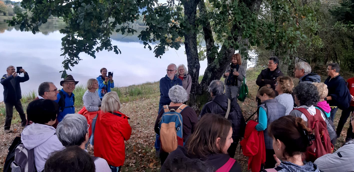 rando semi noct1.jpg