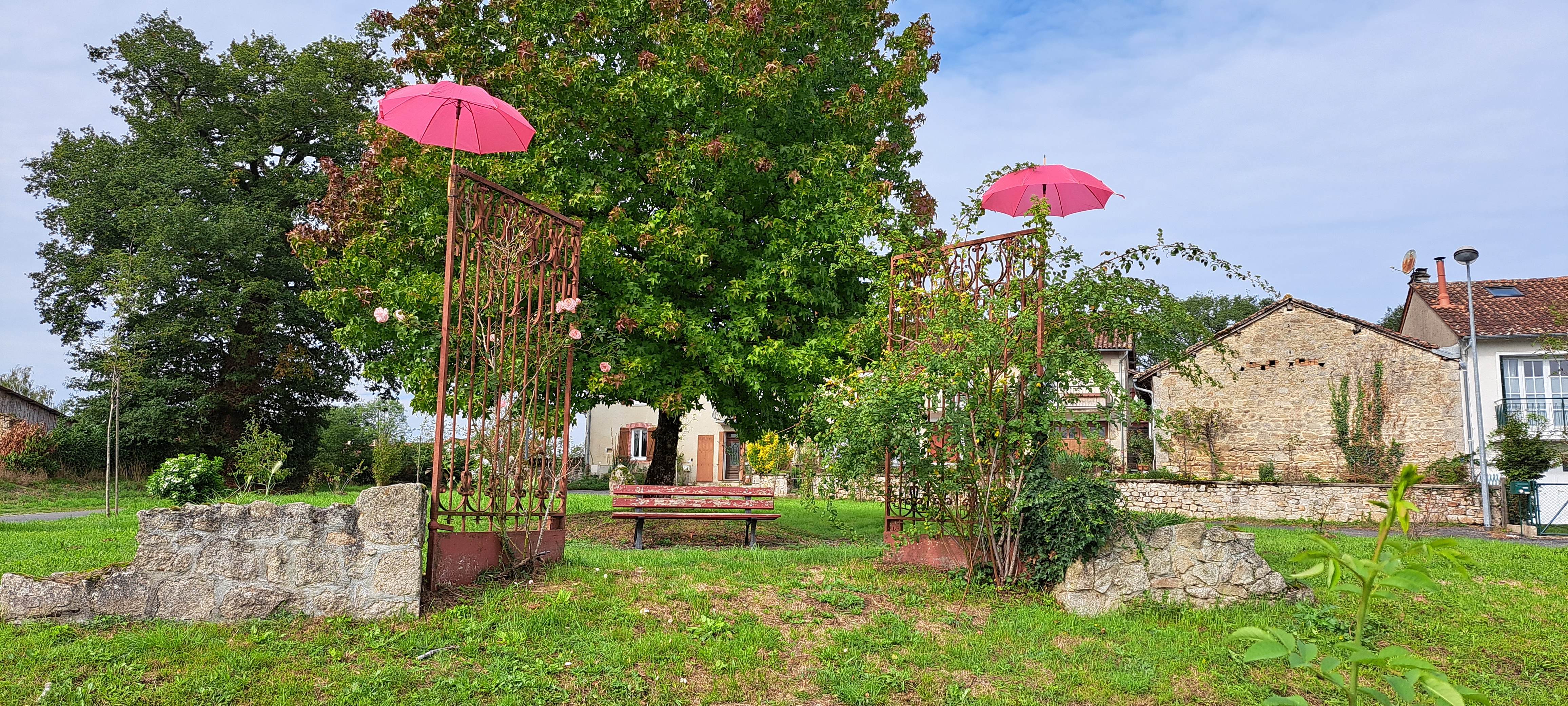 étang octobre rose 2025.jpg