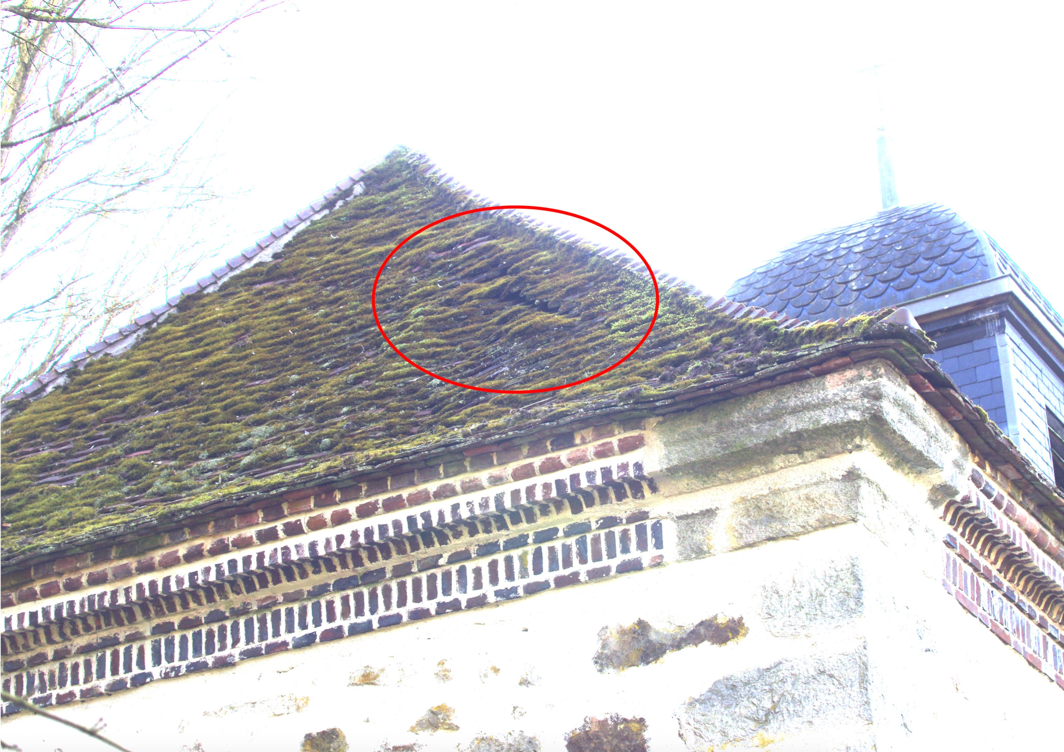 RENOVATION EGLISE 3.jpg