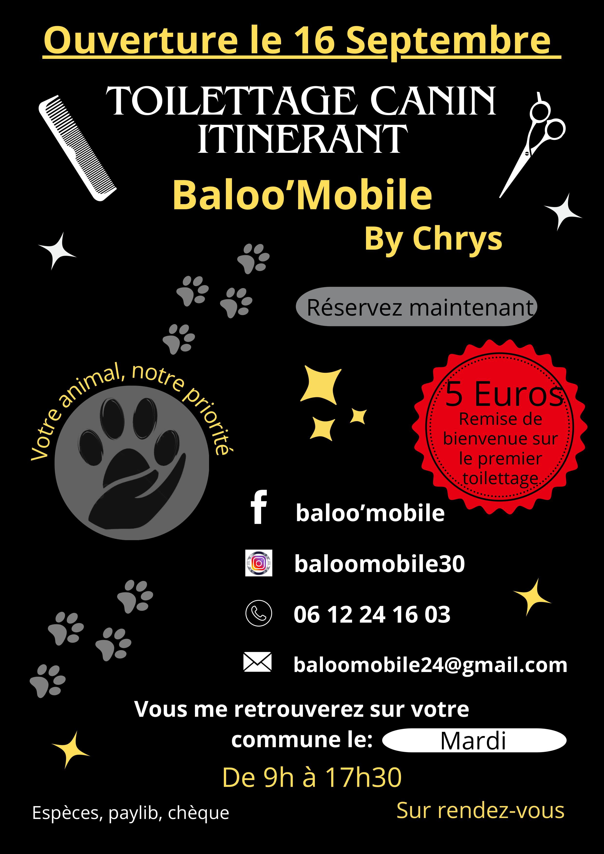 TOILETTAGE CANIN ITINERANT