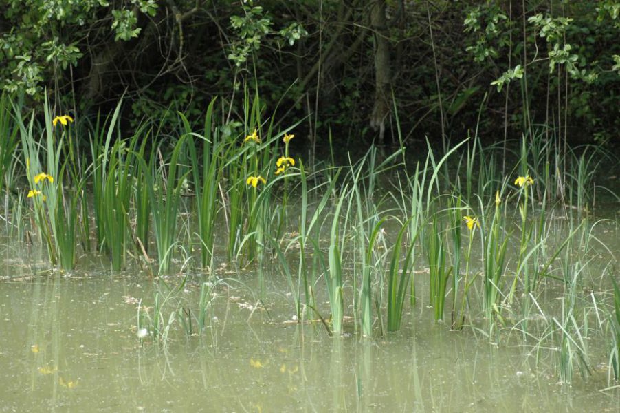 réserve naturelle 3.jpeg