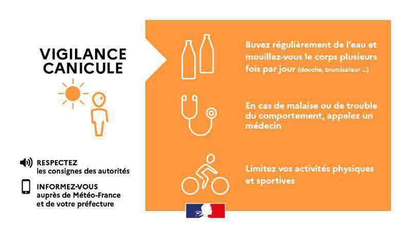 canicule.jpg