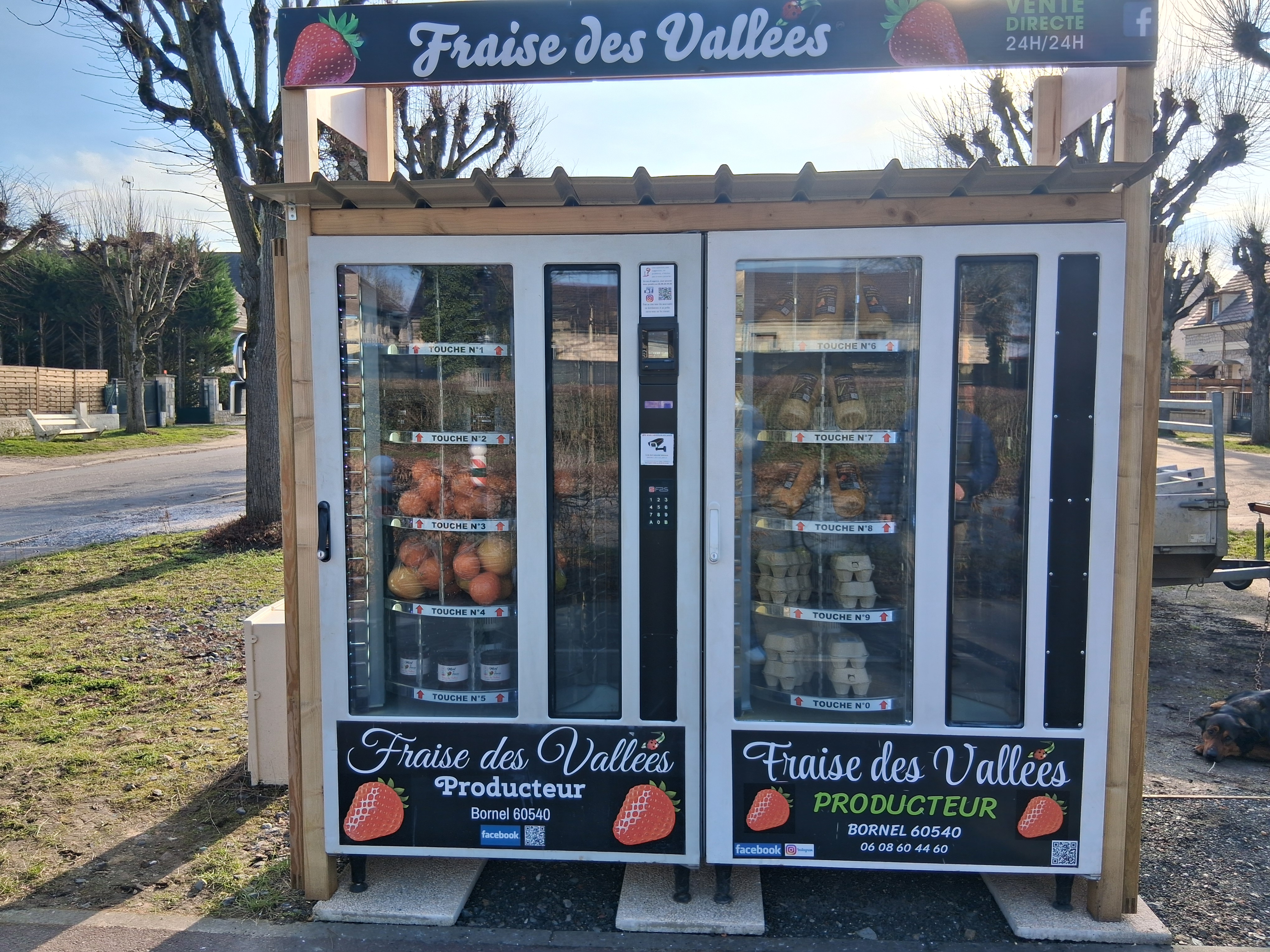 distributeur fruits et légumes .jpg