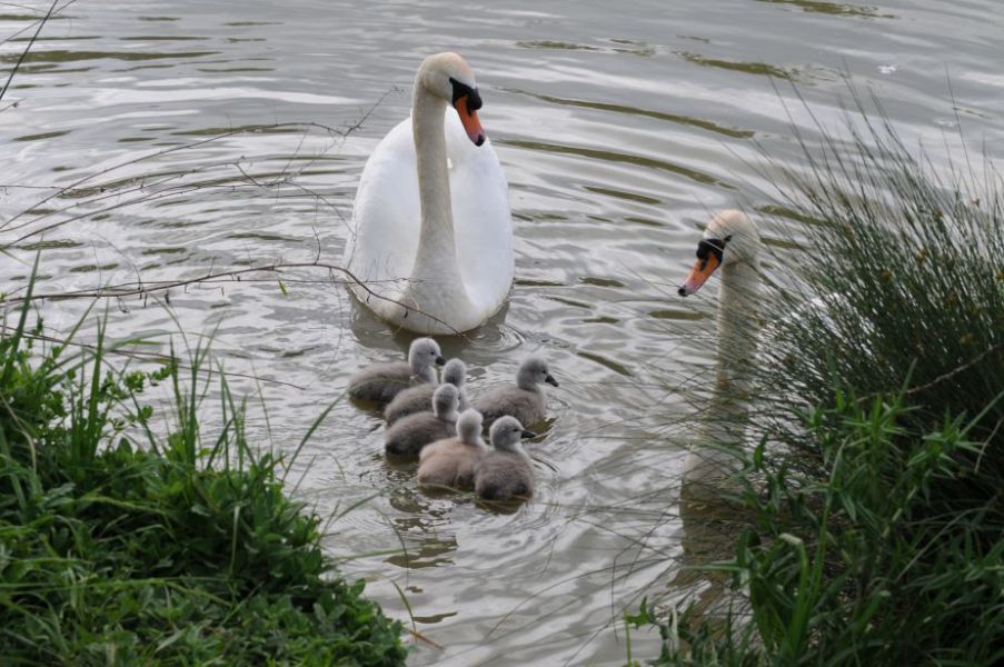 réserve naturelle 2.jpeg