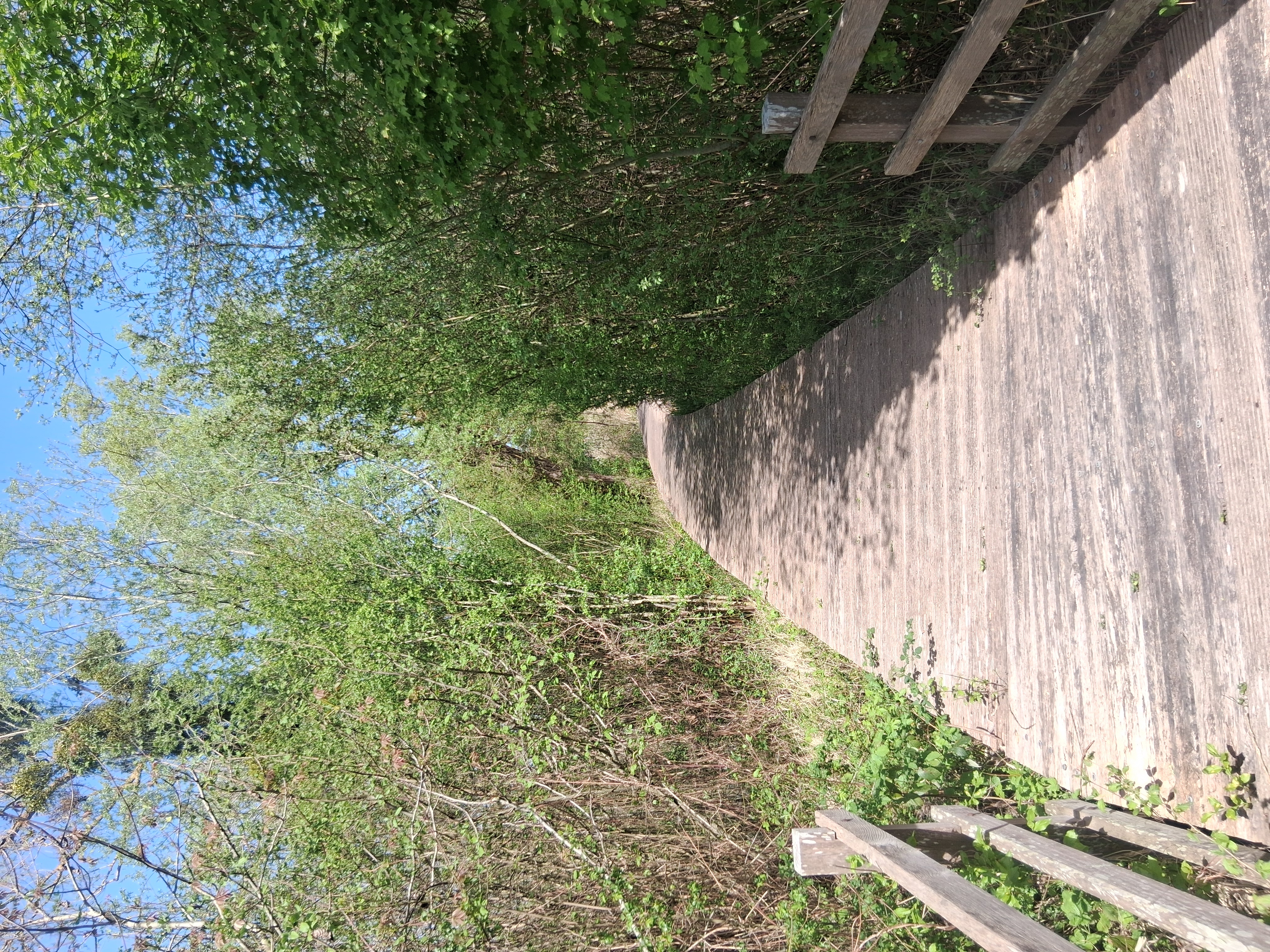marais 12.jpg