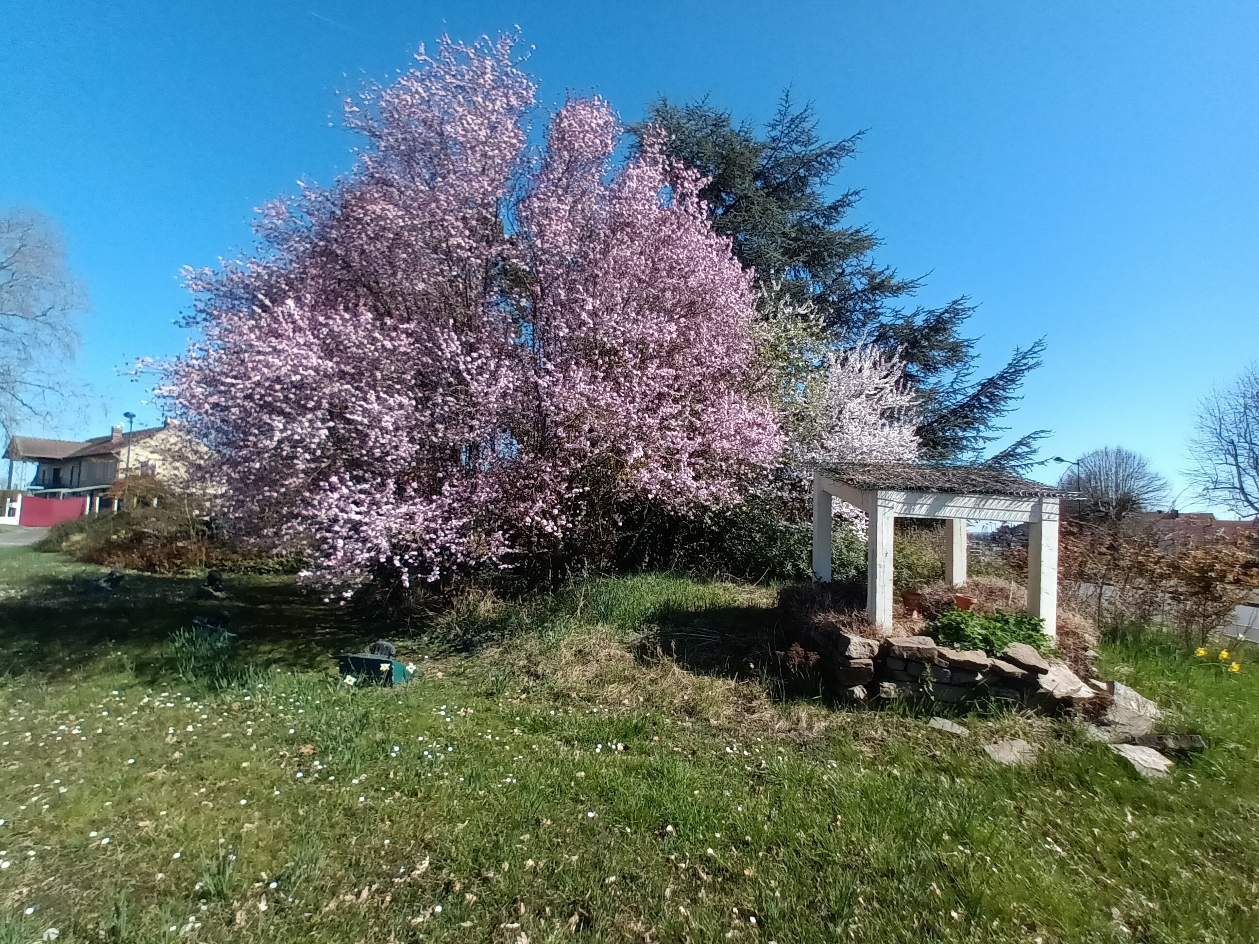 20250320_131152.jpg