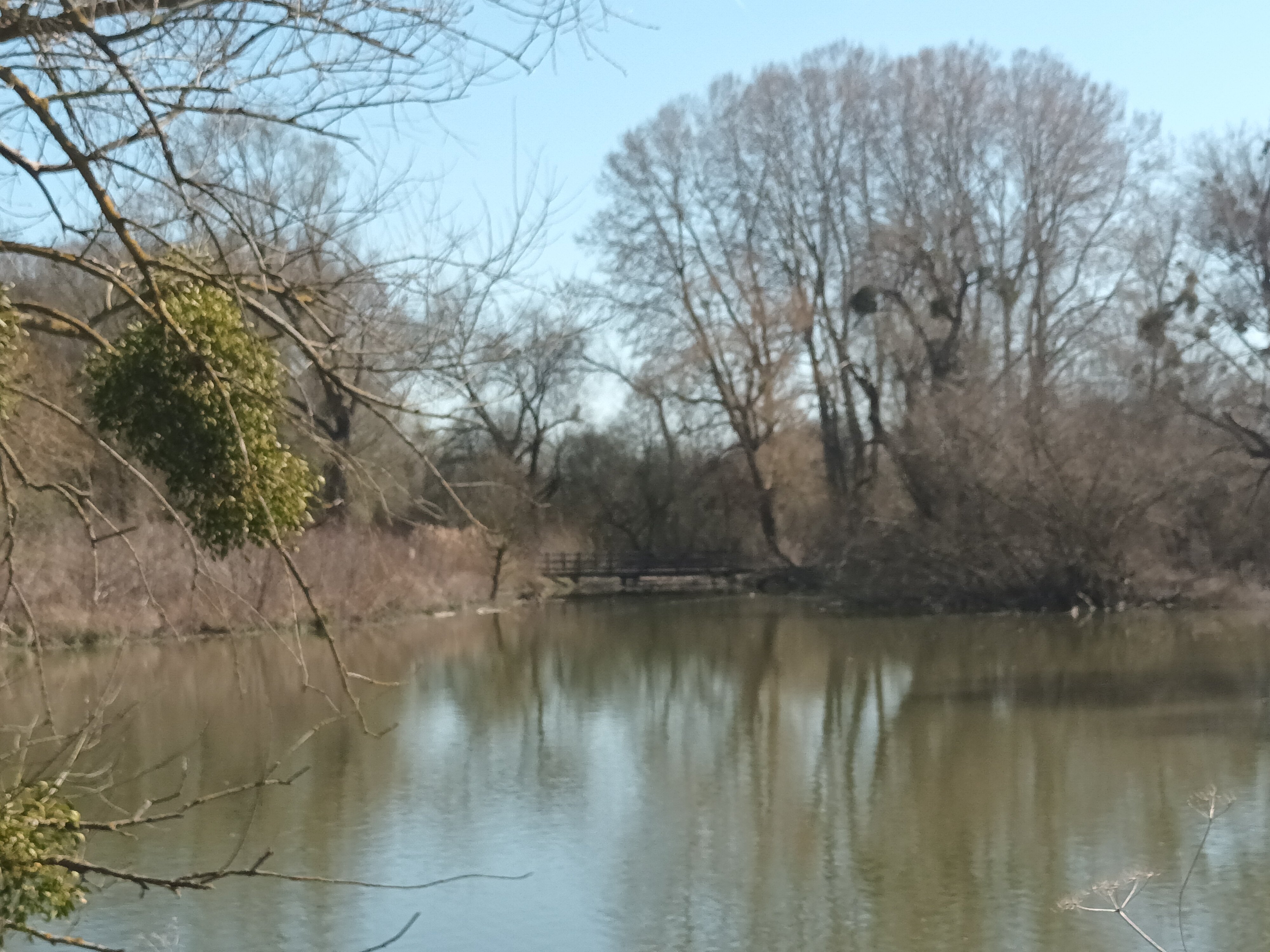 20250320_130711.jpg