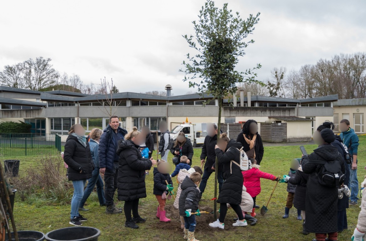 Capture d’écran 2025-12-04 140030 arbre des 3ns .jpg