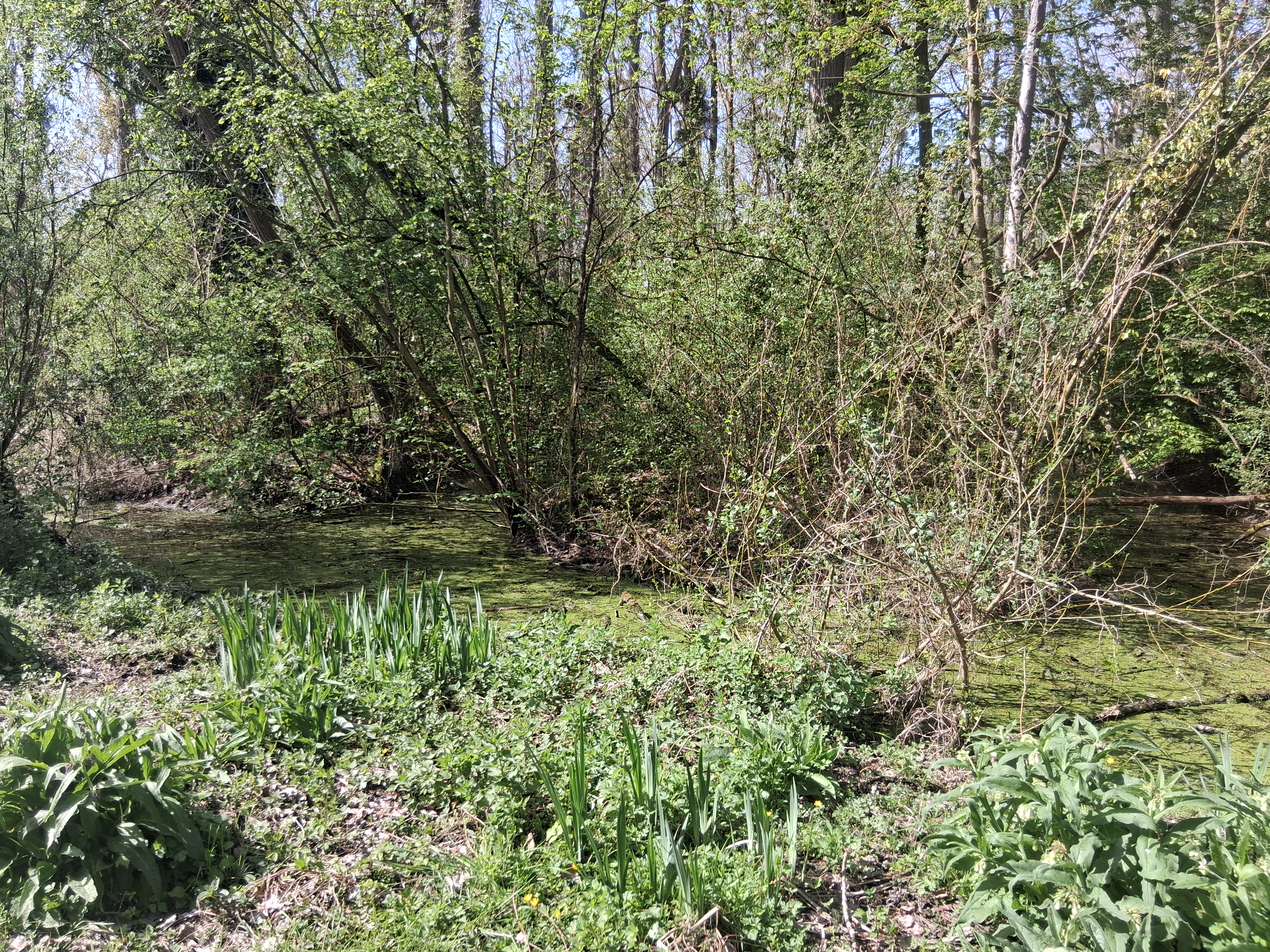 marais 08.jpg