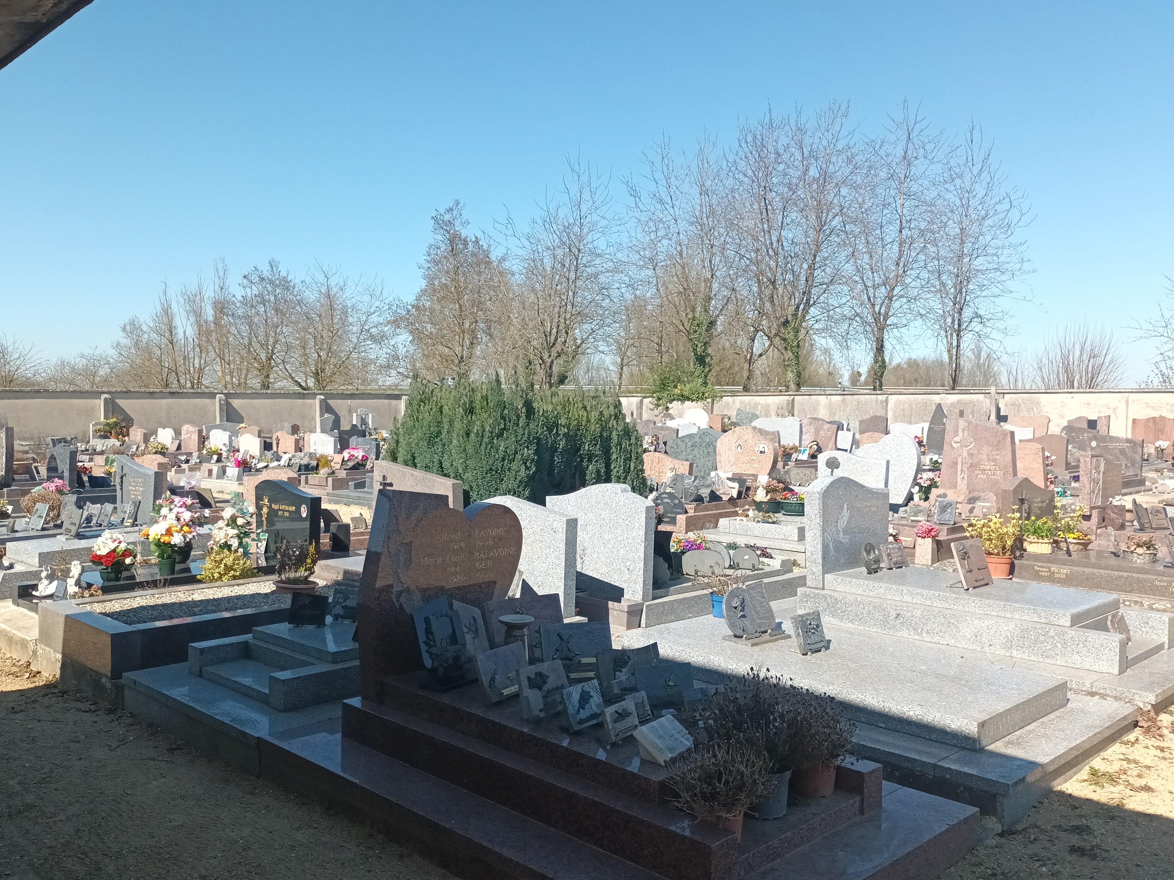 20250320_125722.jpg