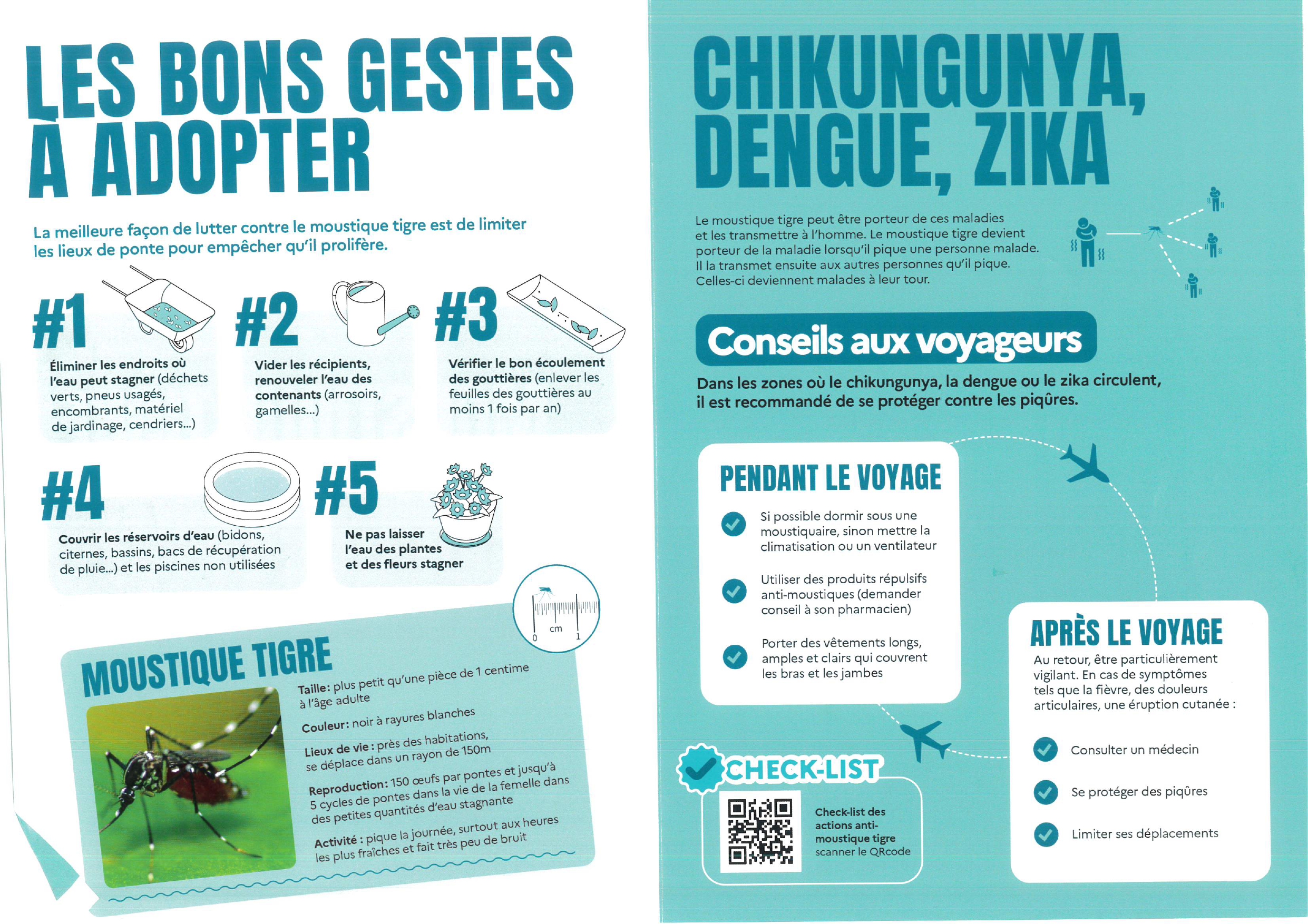 Lutte moustique tigres 1.jpg