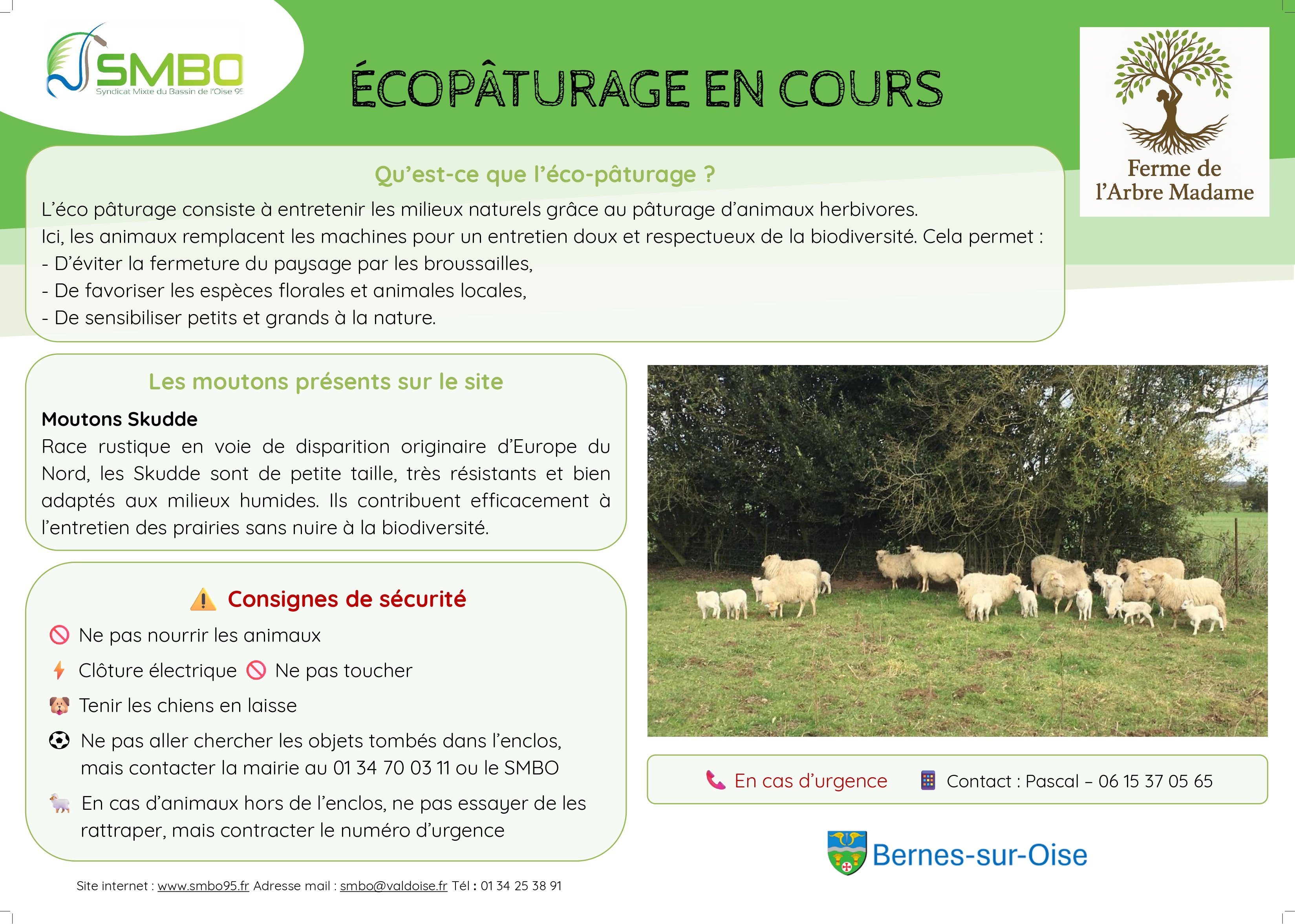 écopâturage Bernes-sur-Oise.jpg