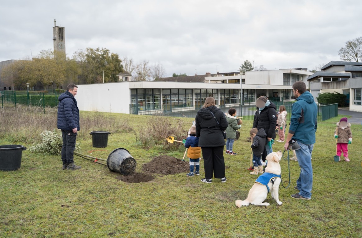 Capture d’écran 2025-12-04 134957 arbre des 3ans.jpg