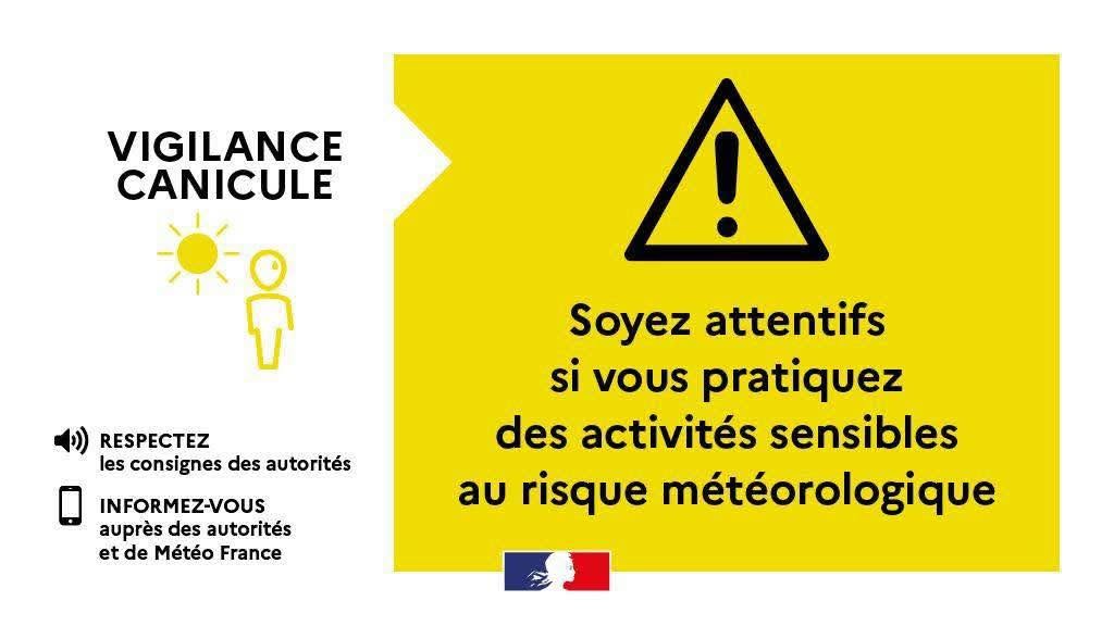 canicule jaune.jpg