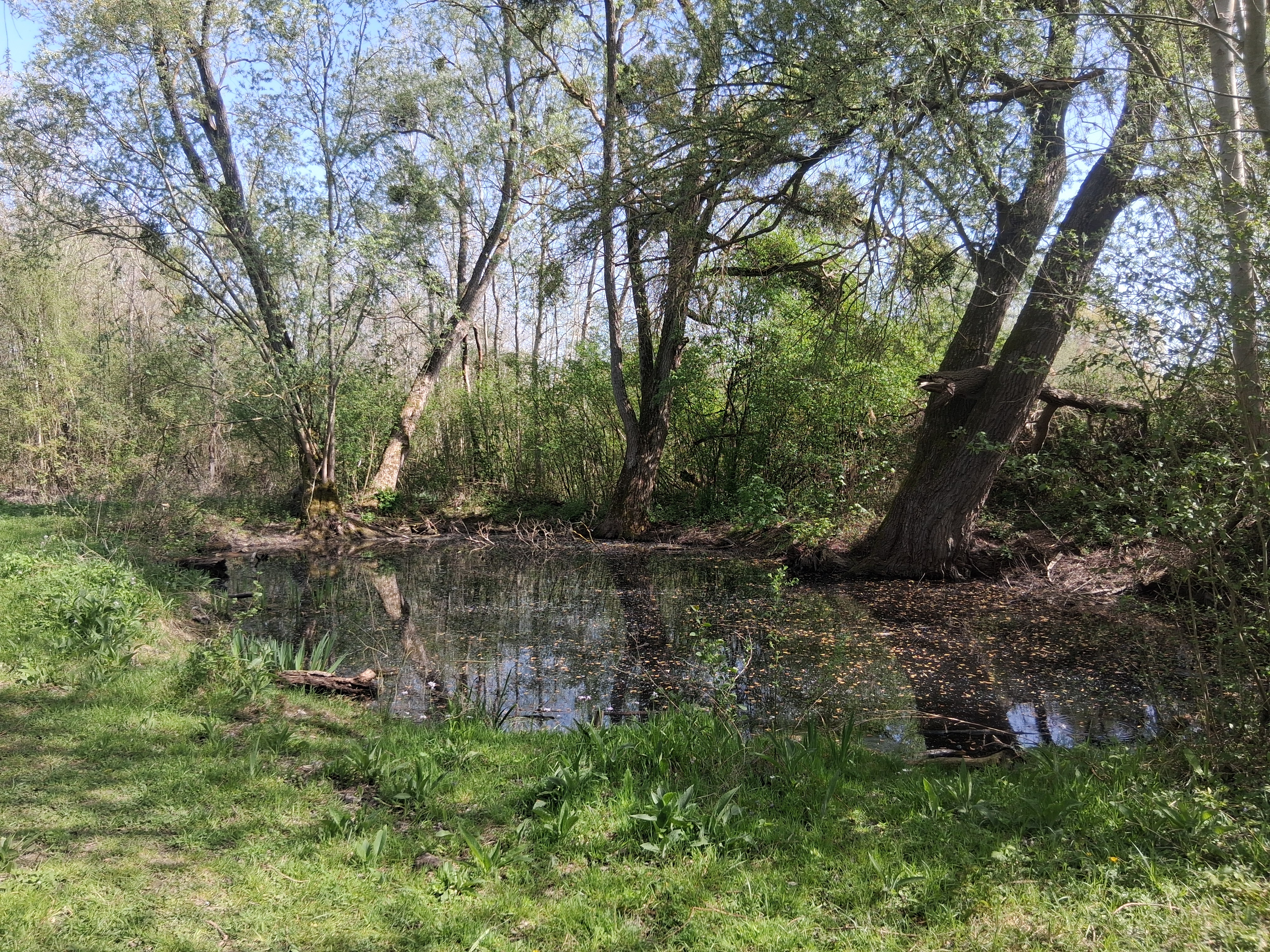 marais 10.jpg