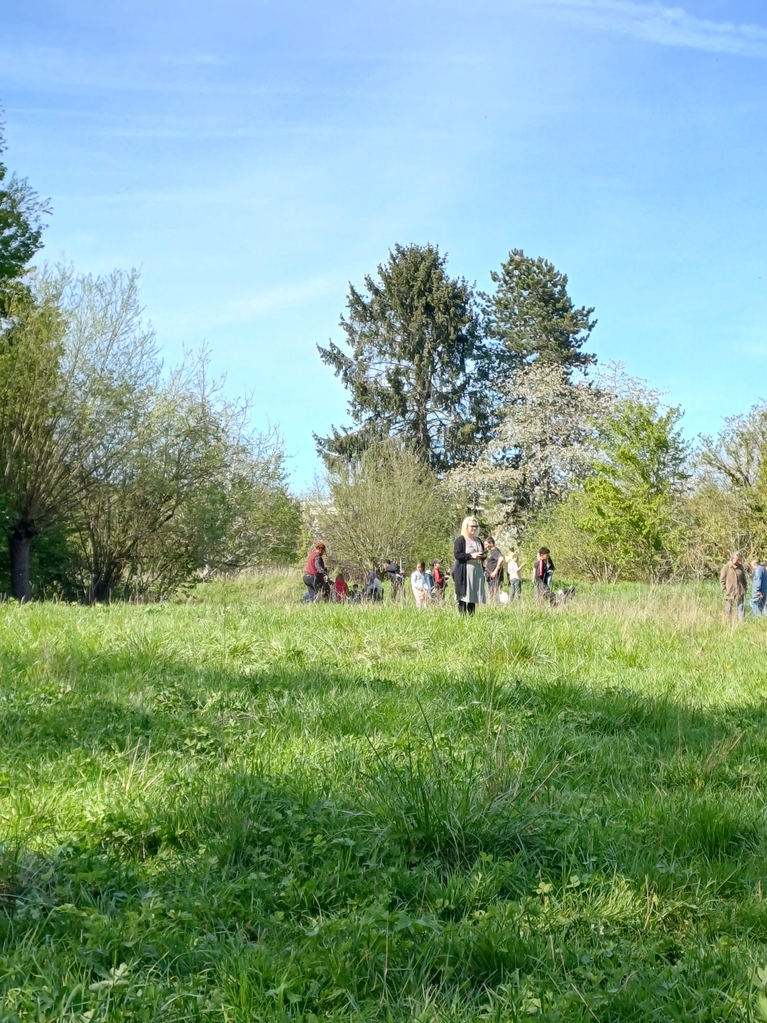 WhatsApp Image 2026-04-06 at 15.37.54 _8_.jpeg