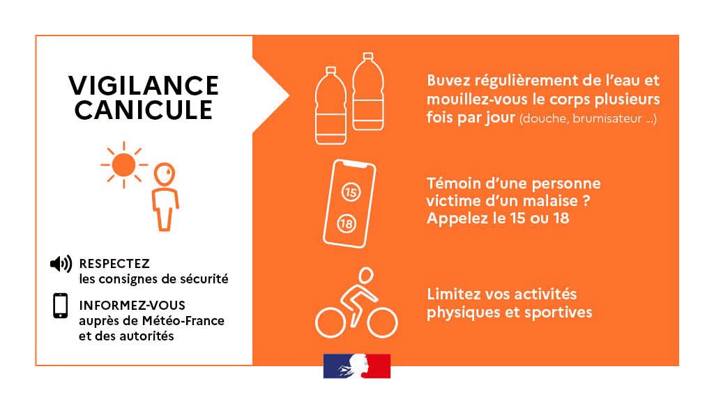 canicule.jpg