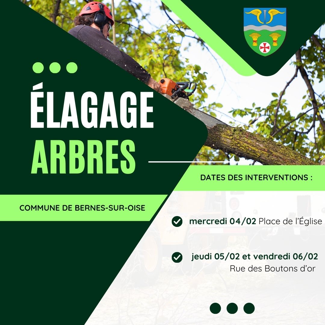 élagage arbres.jpg