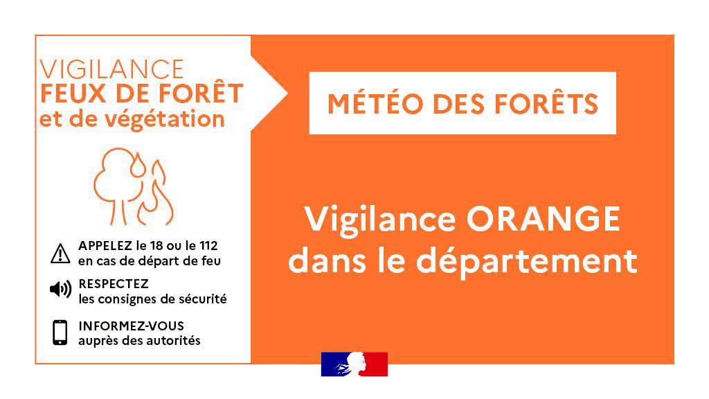 feux forêts.jpg