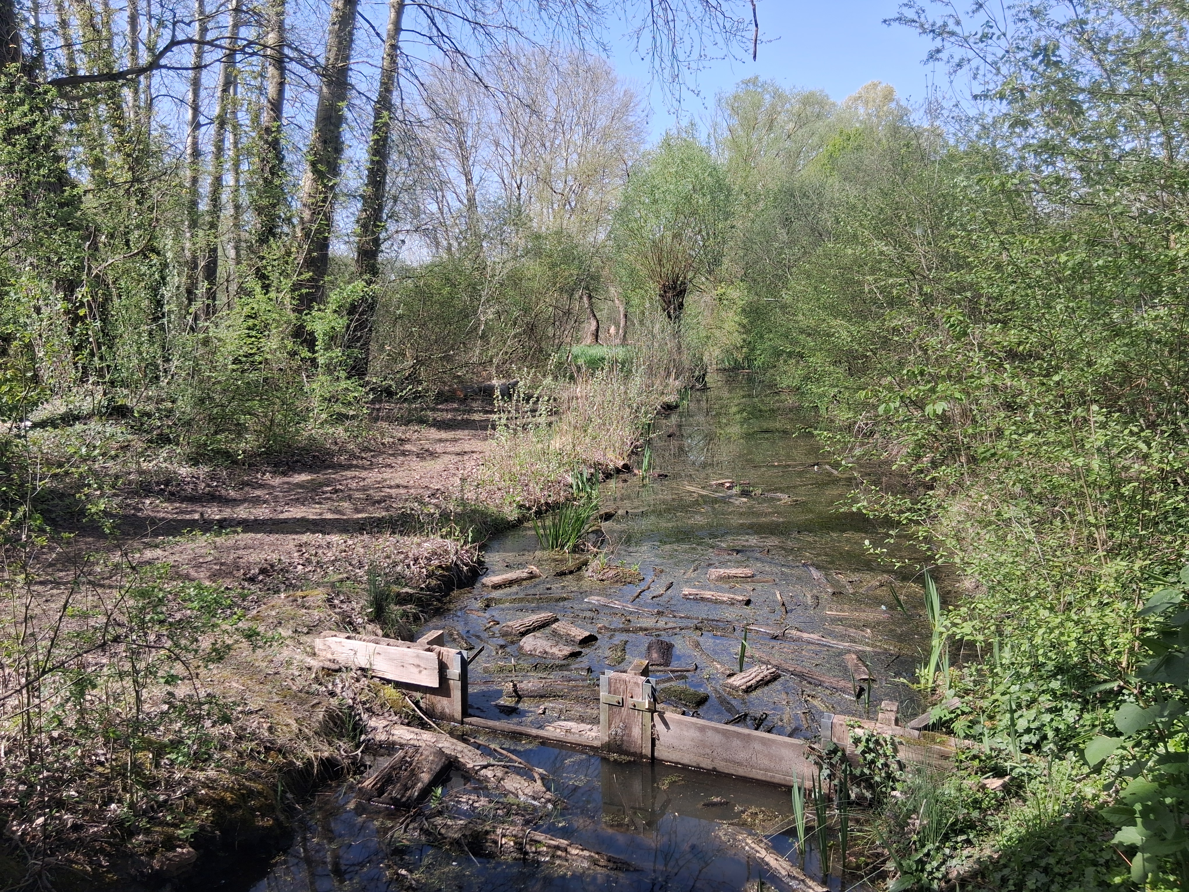 marais 13.jpg