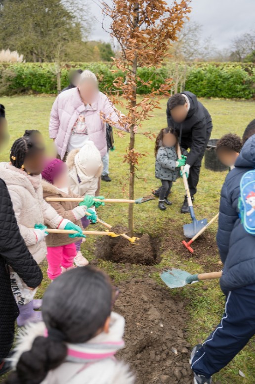 Capture d’écran 2025-12-04 135816 arbre des3ans .jpg