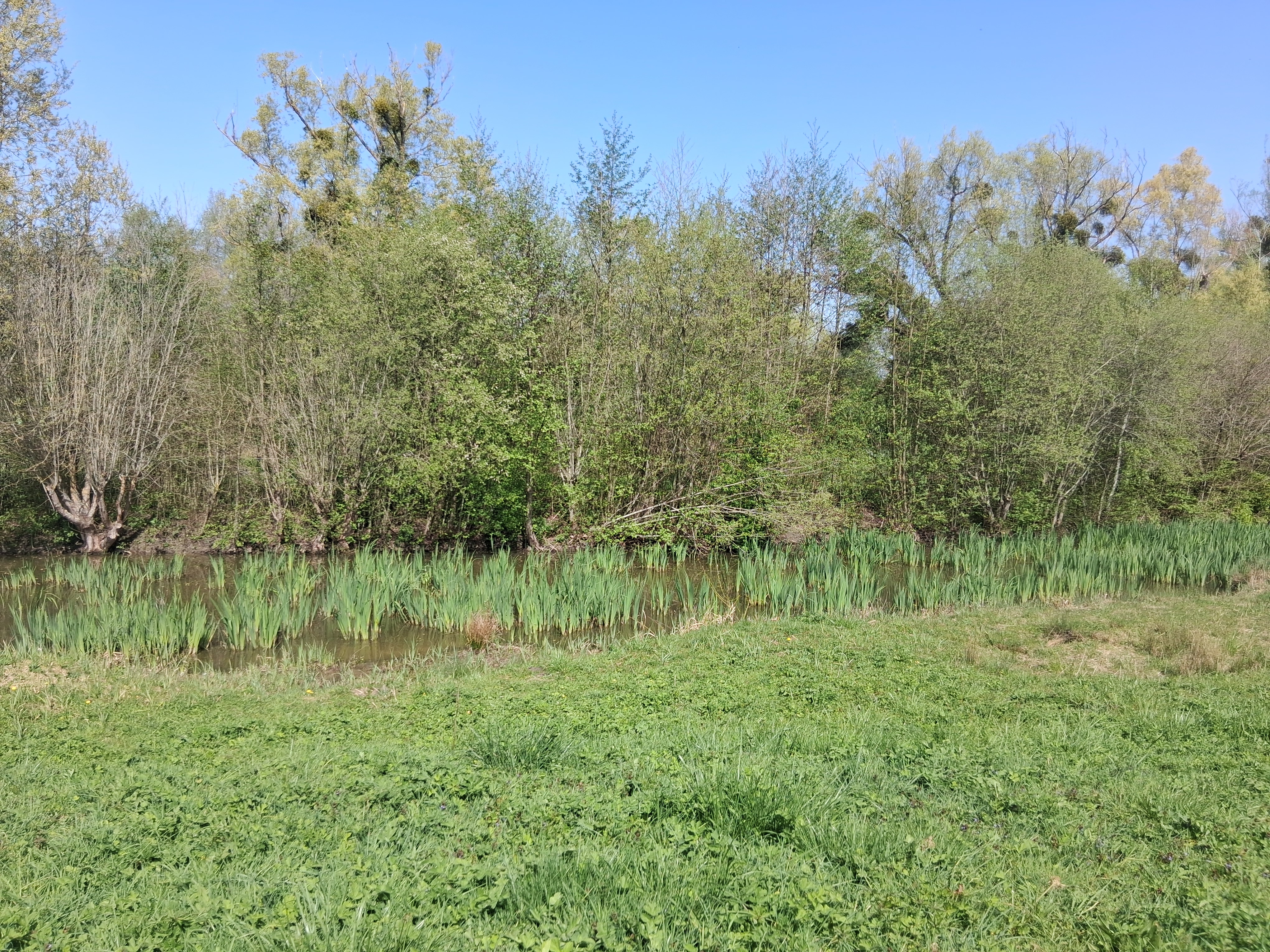 marais 9.jpg