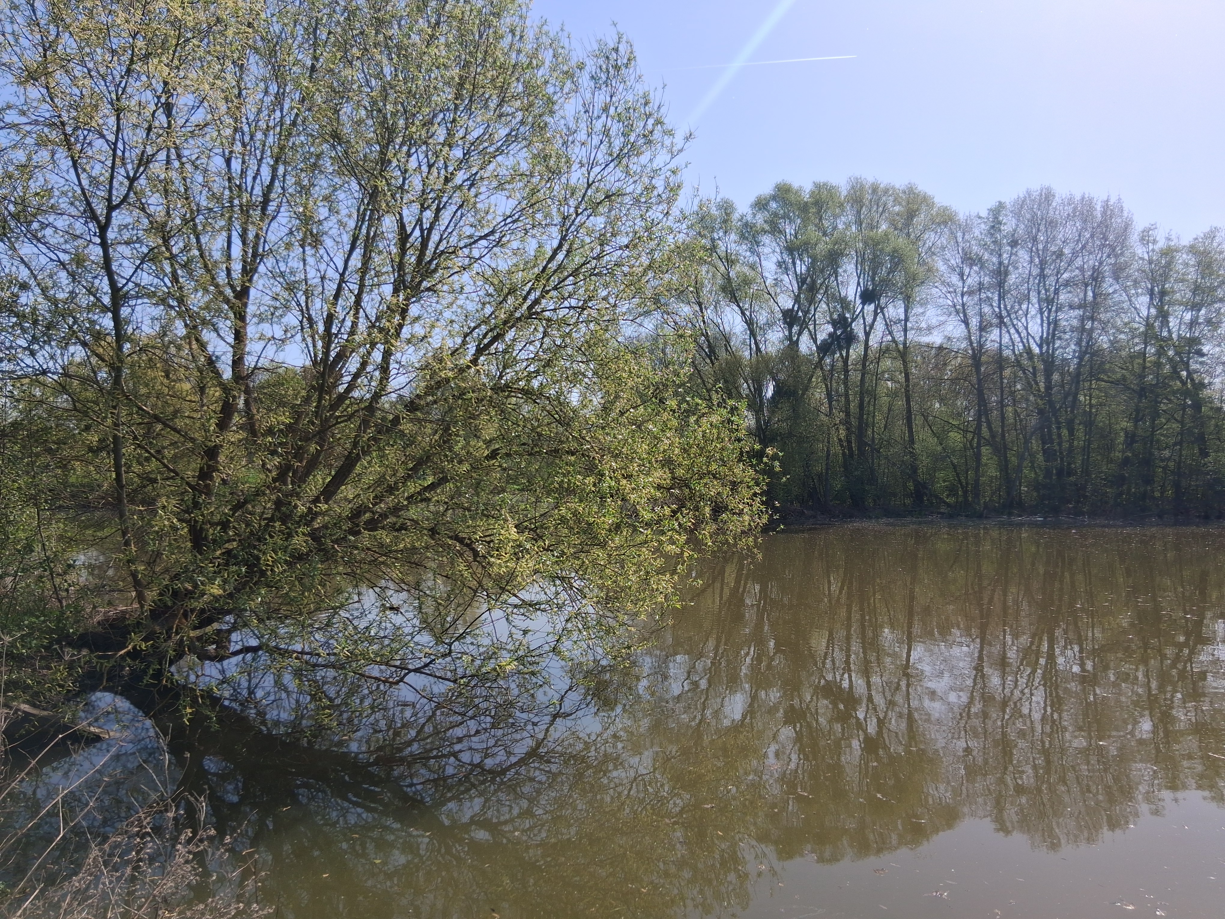 Marais 3.jpg