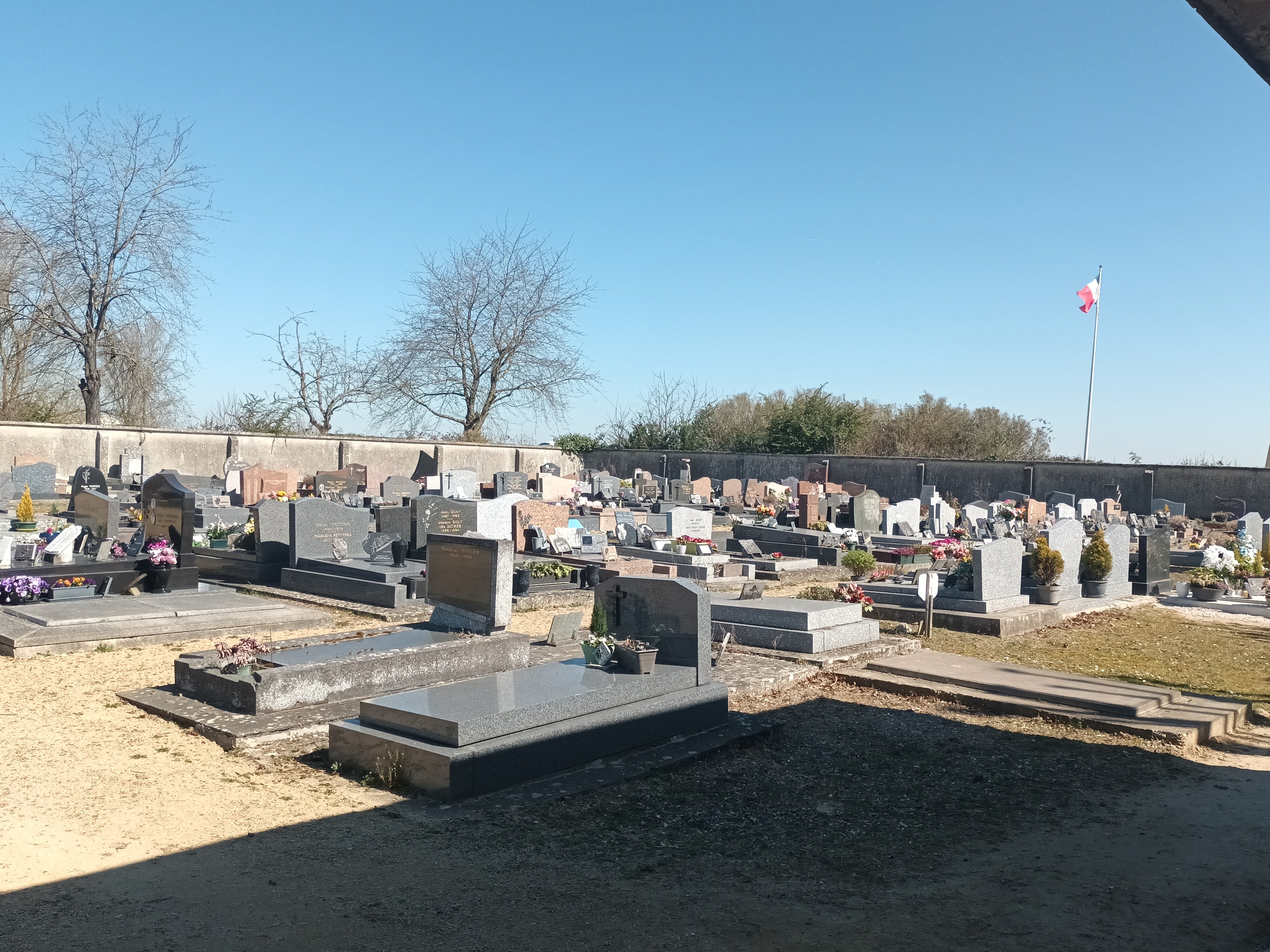 20250320_125727.jpg